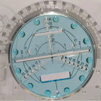 Multifunctional Geometric Ruler