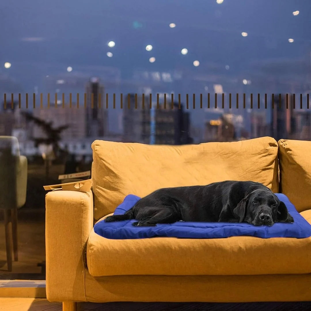 Personalized Dog Bed