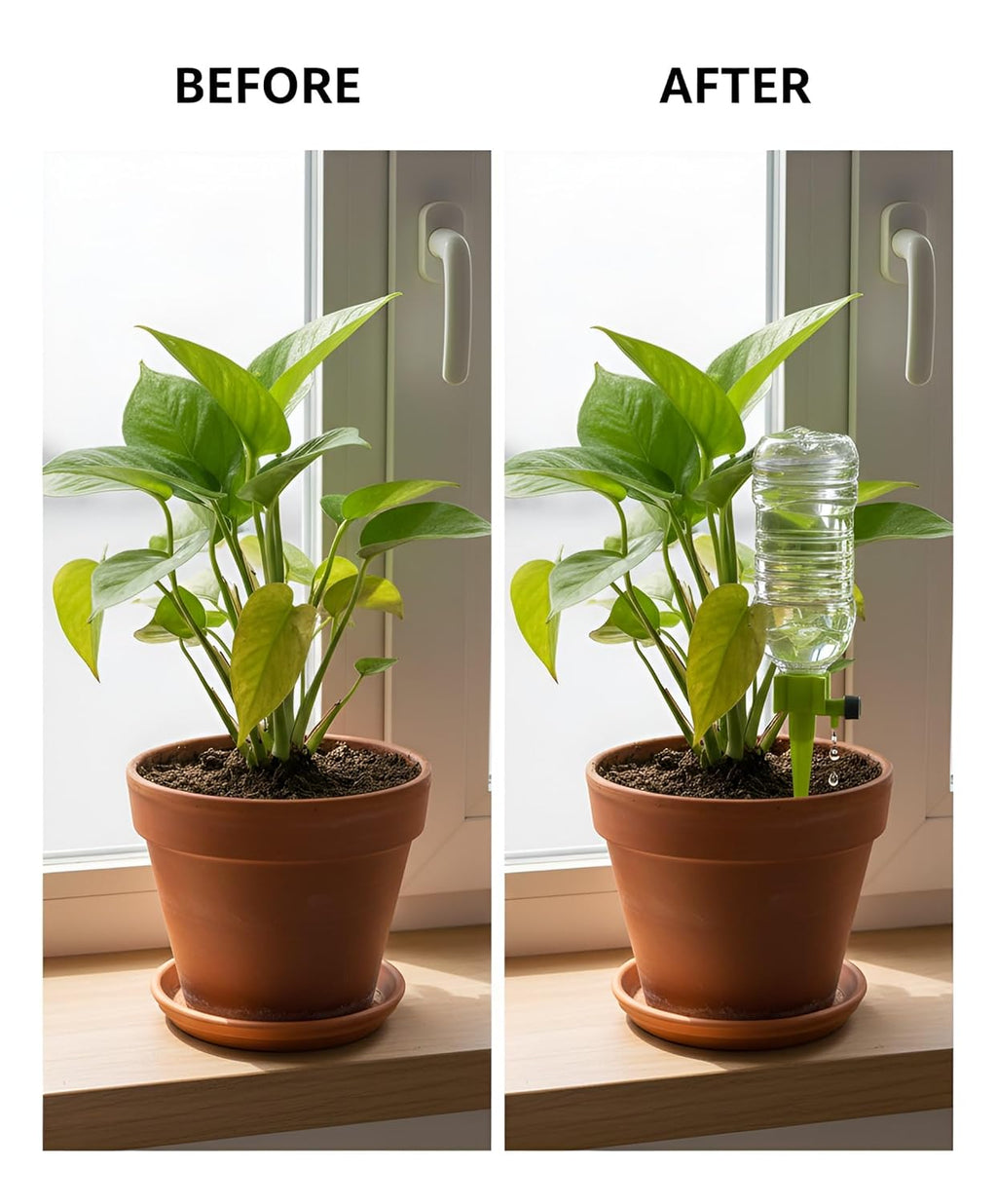Automatic Water Spikes(Set of 4)