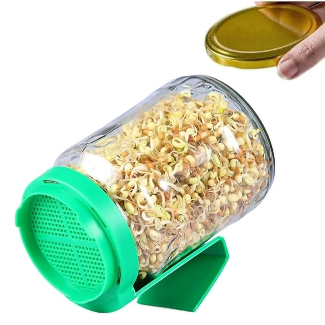 Sprout Maker Glass Jar