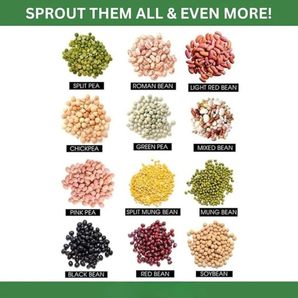 Sprout Maker Glass Jar