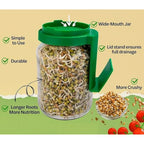 Sprout Maker Glass Jar